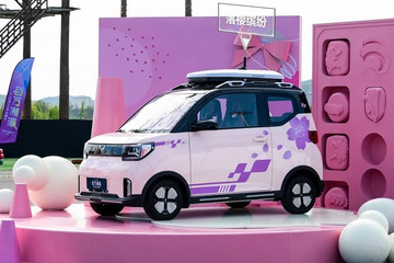 五菱携宏光MINIEV获国货双冠