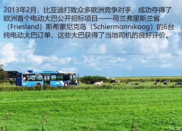 比亞迪，比亞迪海外市場(chǎng)