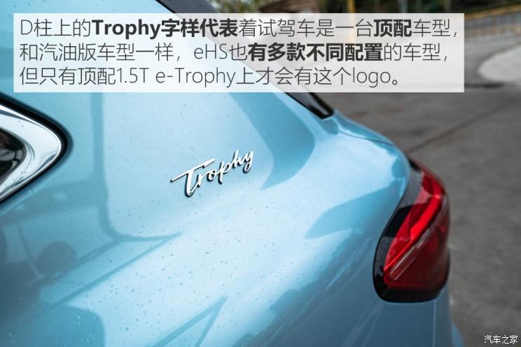 上汽集團(tuán) 名爵HS新能源 2020款 eHS 1.5T e-Trophy