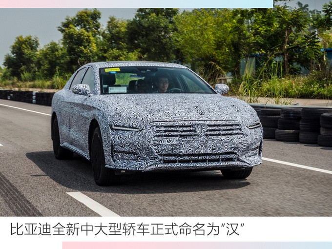 比亞迪2020是進(jìn)階年產(chǎn)品迭代速度將成勝負(fù)手-圖2