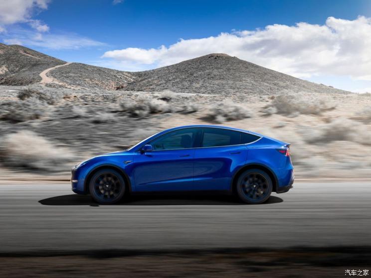特斯拉（進(jìn)口） Model Y 2019款 Performance高性能全輪驅(qū)動(dòng)版