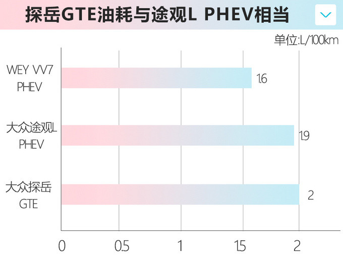 大眾探岳插混版純電續(xù)航54km 預(yù)計24萬元起售-圖3
