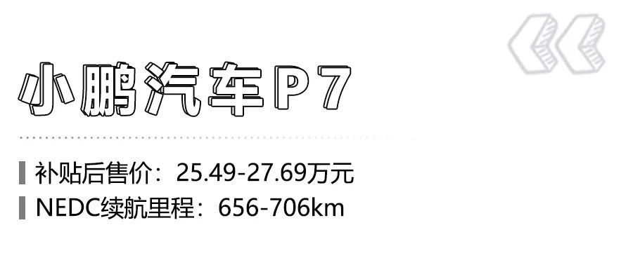 預(yù)算30萬元左右，續(xù)航超600km的<a class='link'  target='_blank'>純電動</a>車有哪些？