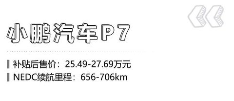 预算30万元左右，续航超600km的纯电动车有哪些？