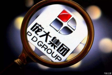 进入执行阶段 庞大集团重整计划获批准