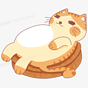 肥猫爱肉