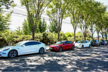 “綠色生態(tài)，公益同行”，特斯拉車主志愿者走進(jìn)北京密云