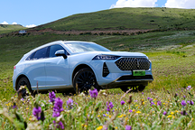 中國車行中國路 隨摩卡DHT-PHEV智駕318國道