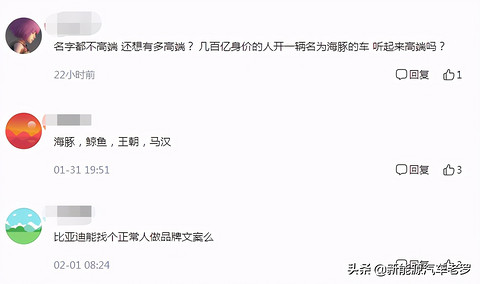 好惊喜！比亚迪内部会议曝光：密谋推出高端品牌！但名字令人担忧