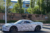 技術(shù)猛男比亞迪：高端品牌2款新車(chē)，諜照被泄露，瞬間賺足眼球