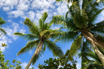 直面疫情 | 海南省政府企業(yè)救助政策匯總