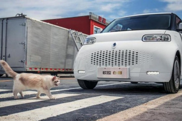 软萌可爱 欧拉R2正式定名为欧拉白猫