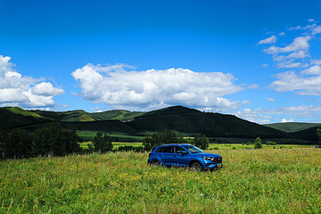 残酷的疫情下，车企车商无一不行动