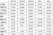 1月新能源乘用車銷量快報(bào)：比亞迪增至15萬輛，理想、埃安過萬