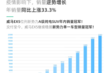 威马全年销量同比增长33.3%，将登陆科创板上市