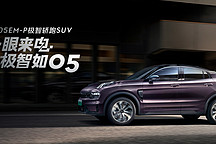 領(lǐng)克旗下多款新能源車型售價下調(diào)，最高下調(diào) 8000 元
