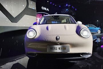 长城再出萌宠，不管白猫、黑猫，再来只