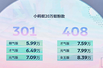 小蚂蚁20万蚁粉款C位出场，5.99万元起售，越来越有看头了