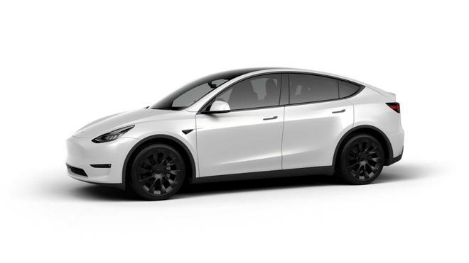 Домашняя модель Tesla Онлайн предпродажная цена вариантов конфигурации Y намного выше, чем у американских моделей