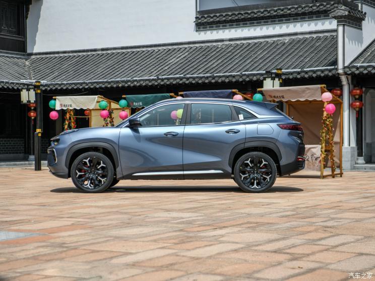 奇瑞新能源 奇瑞螞蟻 2020款 高能pro版