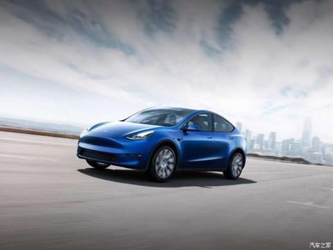 特斯拉中国 Model Y 2020款 长续航版