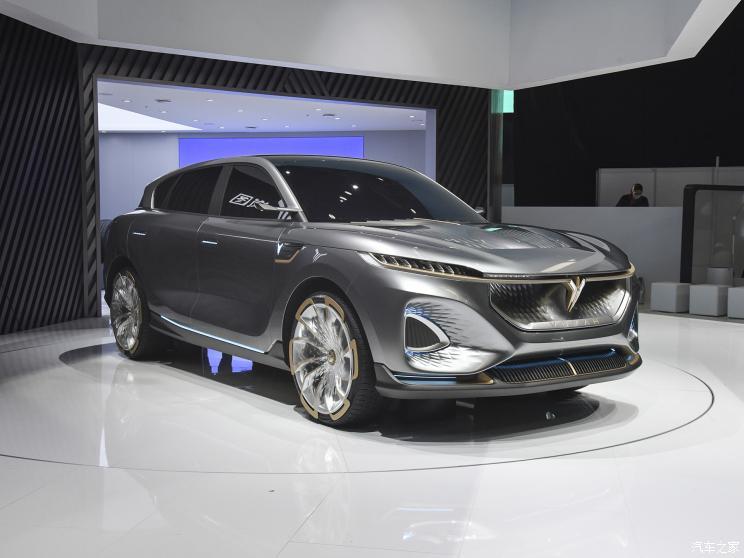 嵐圖汽車(chē) 嵐圖iFree 2020款 概念車(chē)