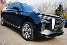 家族式設(shè)計明顯! 紅旗純電動SUV-E115實(shí)車諜照