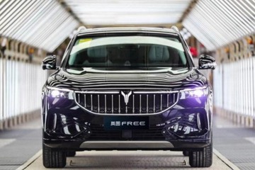 流量擔當來了 造車新勢力2021新車展望