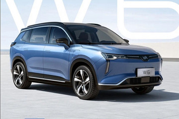 威马W6正式开启预售 意向金仅需6.6元