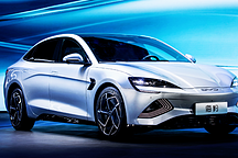 海豹，一場標定國情的“量身定制”