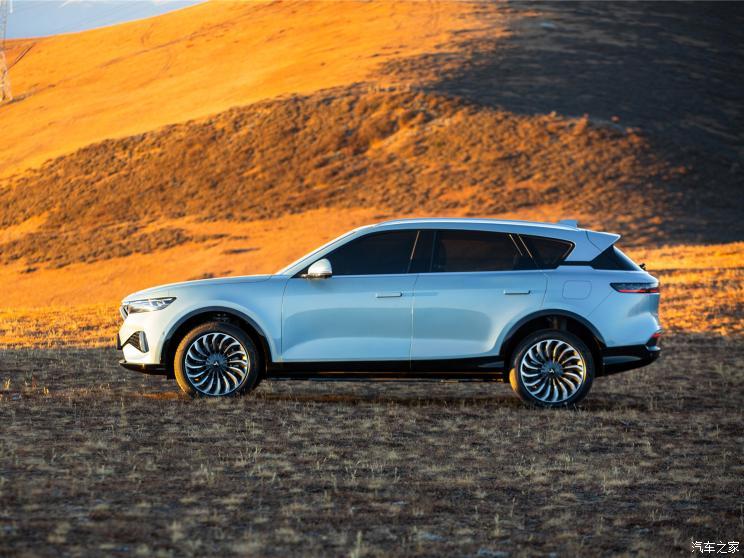 嵐圖汽車 嵐圖FREE 2020款 基本型