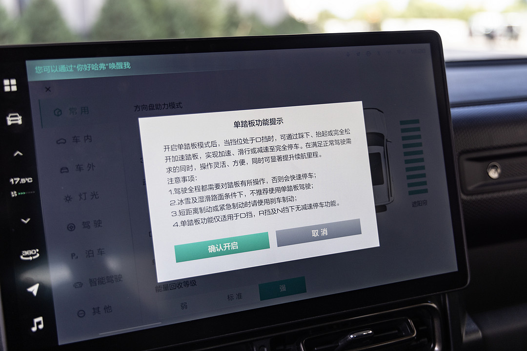 10單踏板.jpg