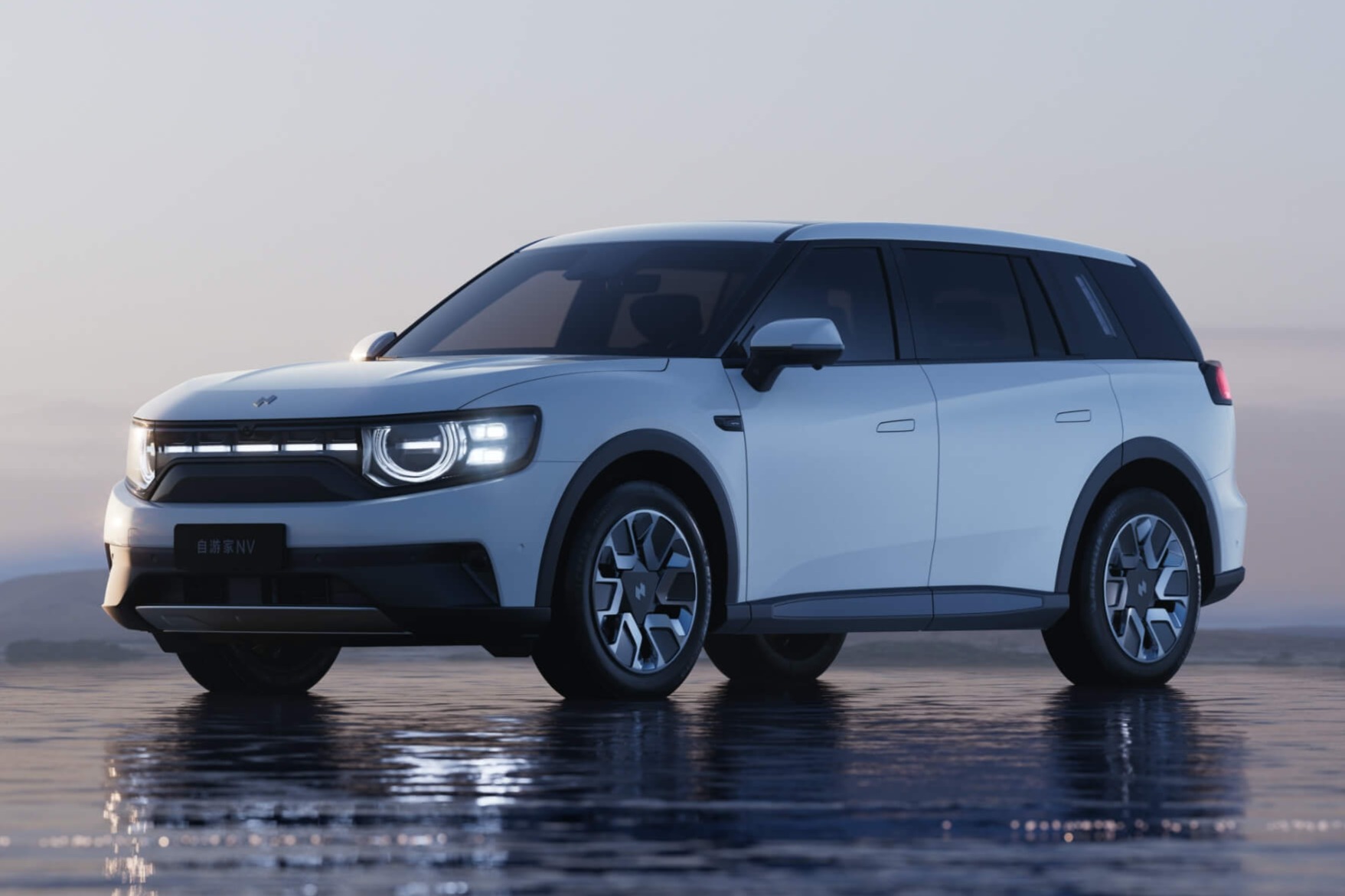 受疫情影响  自游家NV上市发布会延期举办