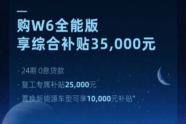 购威马W6全能版  可享综合补贴3.5万元