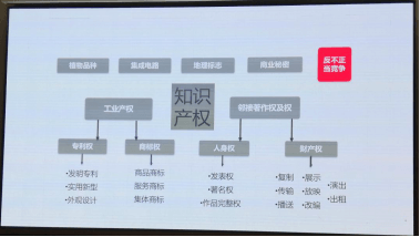 圖片1.png