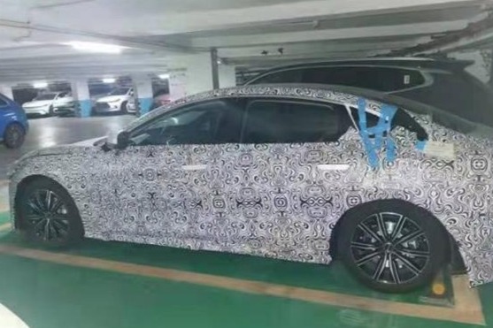 关于比亚迪海豹的已知信息与配置猜测