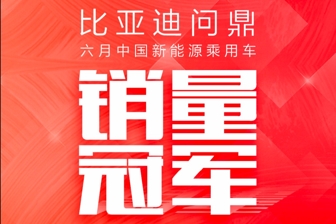 比亚迪问鼎6月中国市场新能源乘用车销量冠军