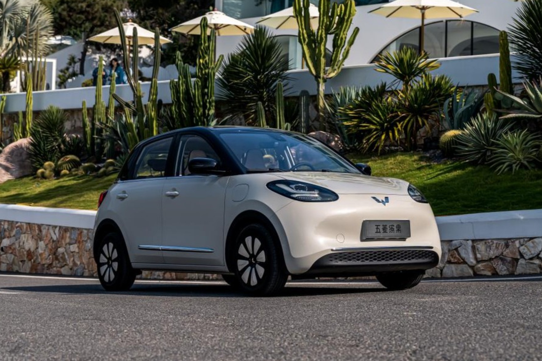 5.98万元起！五菱缤果有望成为下一个爆款车