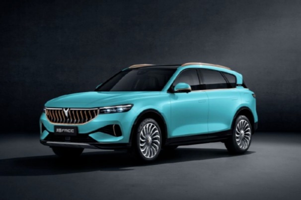 嵐圖FREE首批量產(chǎn)車交付，能挑戰(zhàn)Model Y嗎？