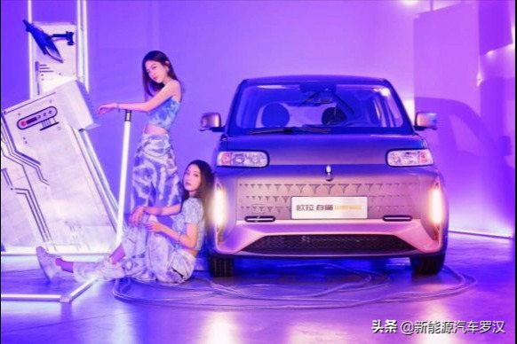 比亞迪海豚成都車展上市，與歐拉小野貓，大戰(zhàn)飛度，勝算幾何？