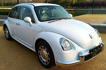 致敬还是抄袭？欧拉芭蕾猫申报图曝光！