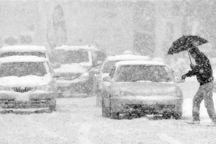 寒潮来袭，电动车变回“电动爹”，我还能放心选购电动车吗？