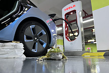 增配不加價，特斯拉想實現(xiàn)的新能源自由