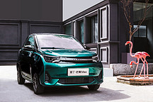 精品小車(chē)卷王 雷丁芒果Max全國(guó)終端到店