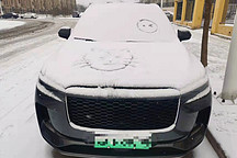 理想ONE車主投稿：三招在手，雪雨風(fēng)霜任我走！
