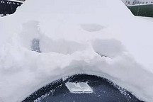 除了世界和平，我還有啥心愿？