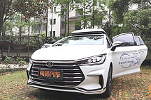 中年男人的憂傷，宋max dmi與我無關(guān)，娃和媽才是它心中的第一位