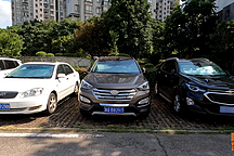 暴晒后什么颜色的车内温度最高？黑白棕三色对比，喵哥测试给你看