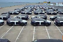 國(guó)產(chǎn)車征戰(zhàn)海外市場(chǎng)，吉利 奇瑞 長(zhǎng)城 比亞迪，你最看好哪家？