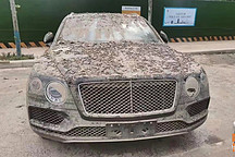 水淹豪車爛便宜，可以買來過癮嗎？聽我一句勸，你八字可能不夠硬